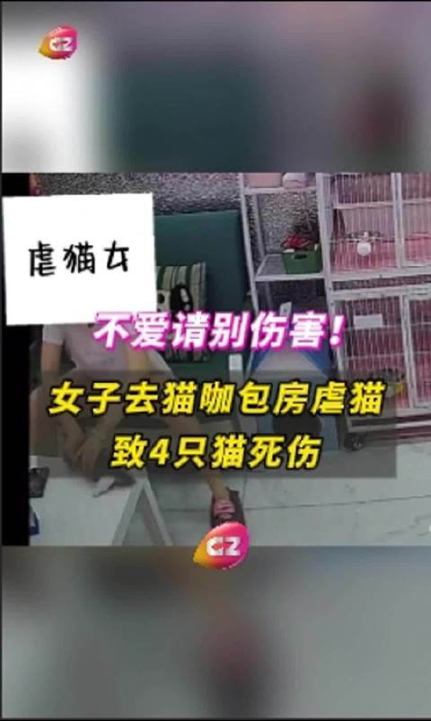 第239页