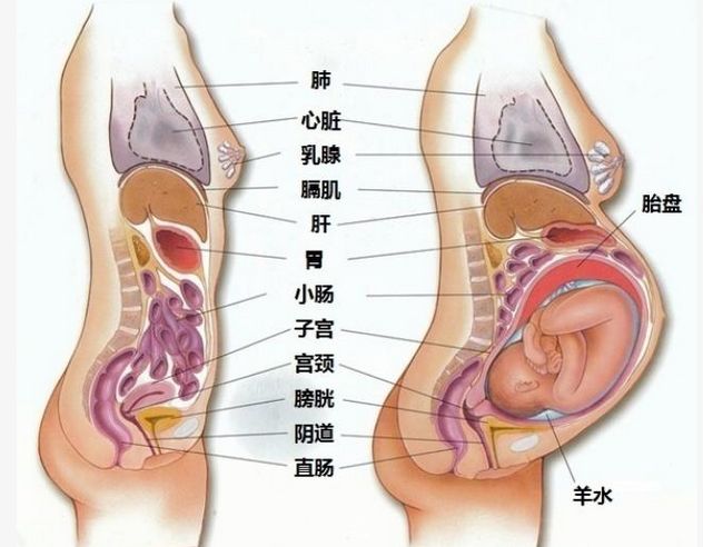 最新资讯 第41页